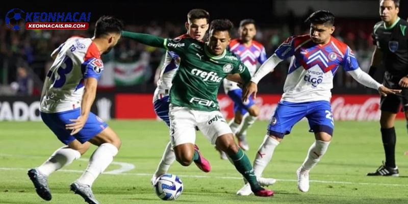 Nhận định Cerro Porteno vs Palmeiras Nhận định Cerro Porteno vs Palmeiras